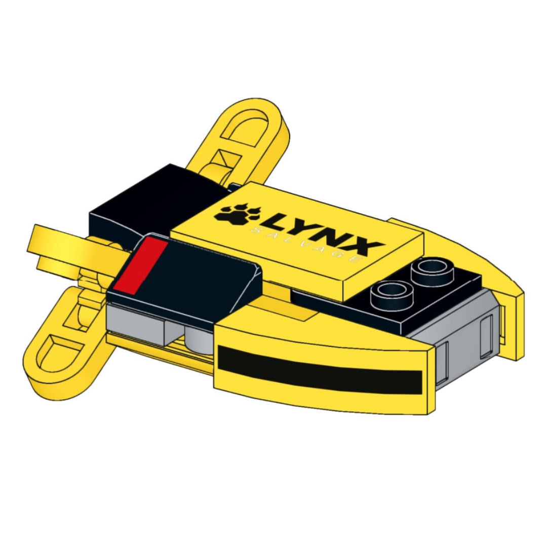 Slide image
