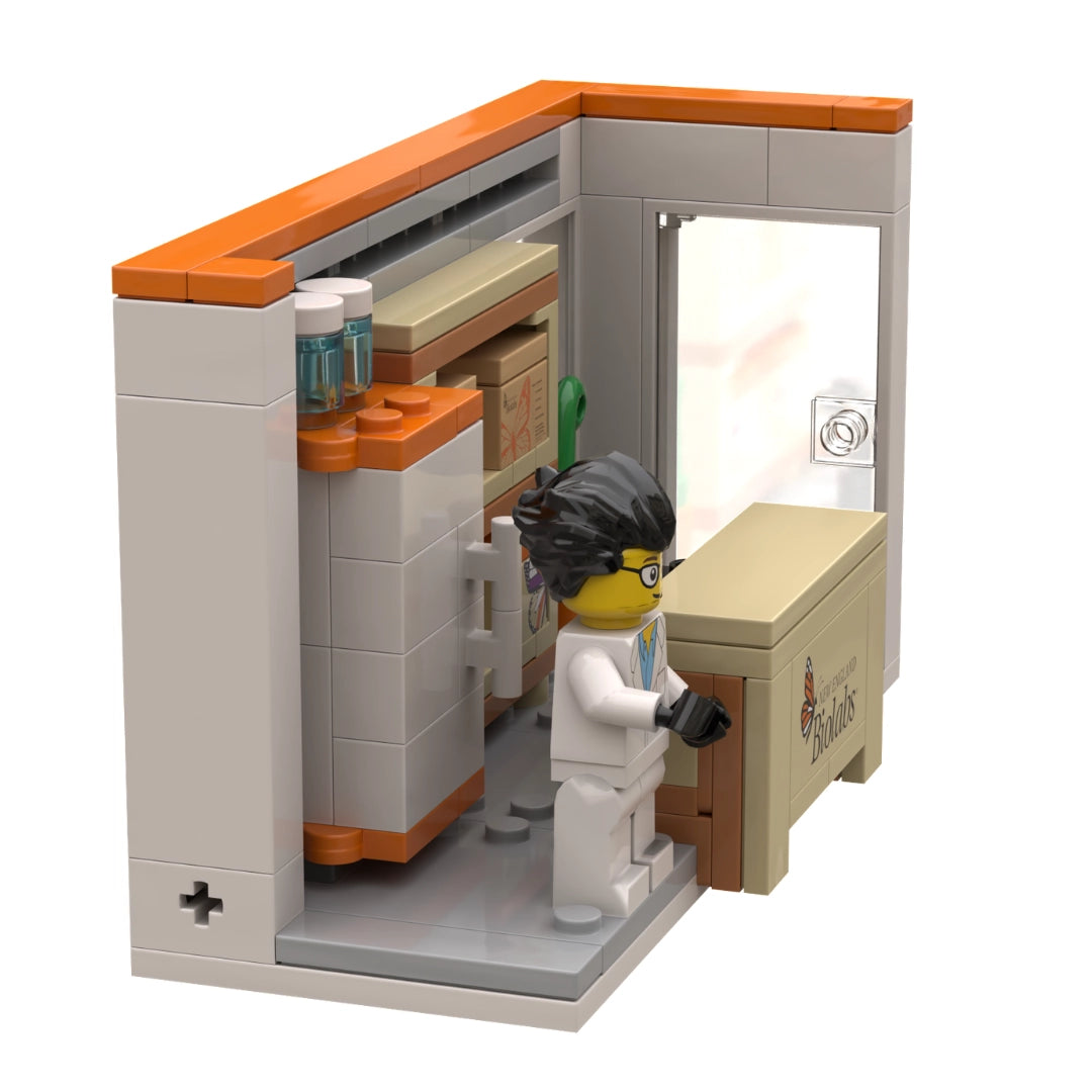 Slide image